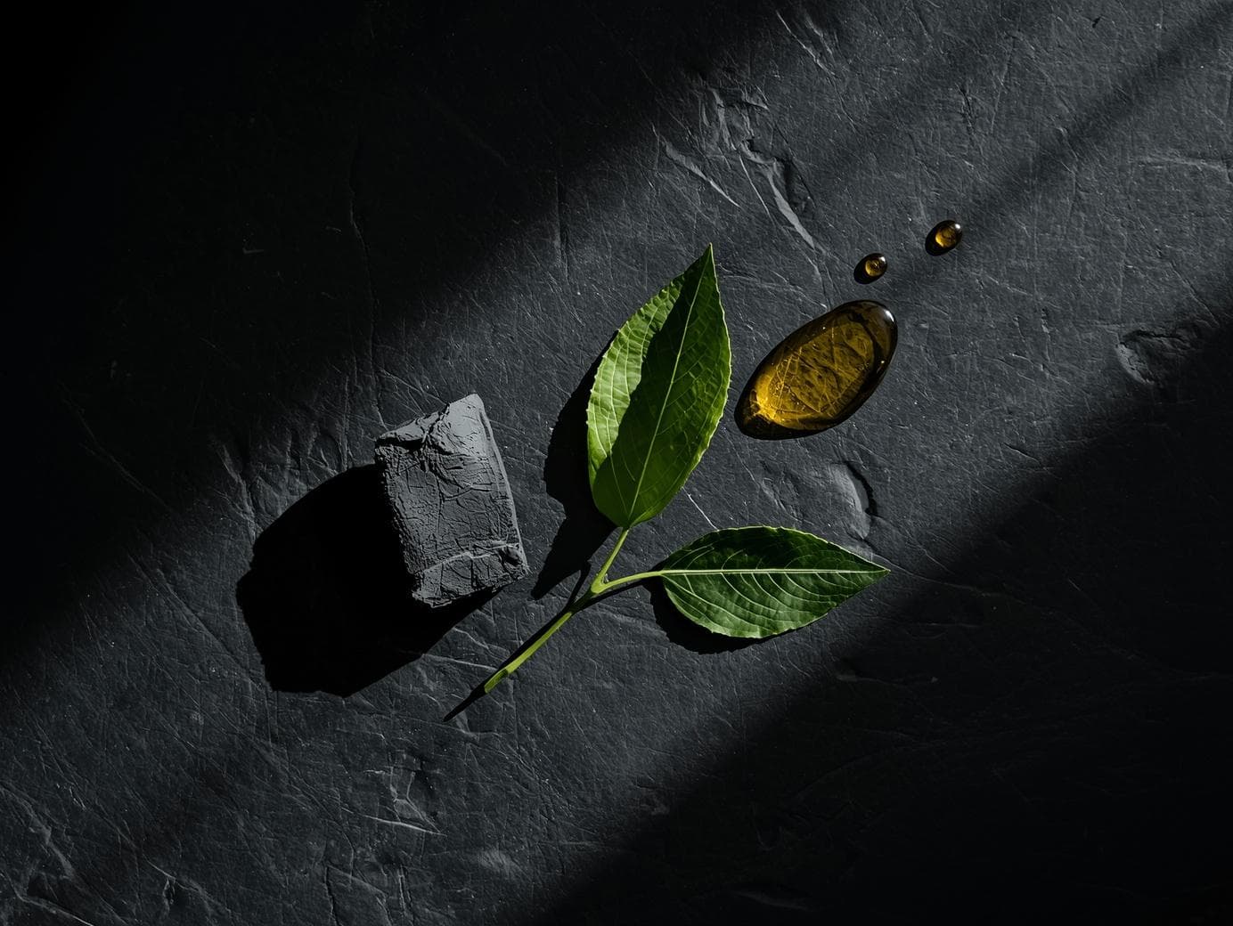 Green leaves, a piece of charcoal, and oil on a  dark stone textured surface 
